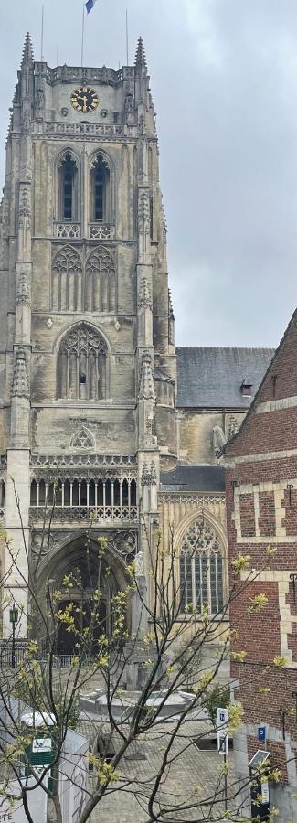 Domus Basil Villa Tongeren Luaran gambar